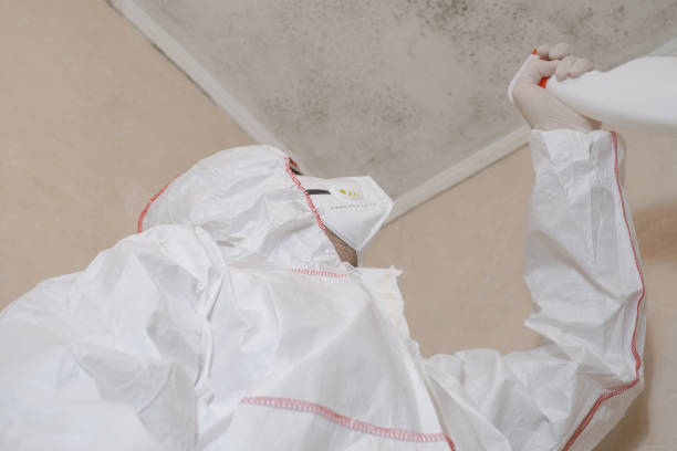 Certified Mold Removal in Graysville, TN
